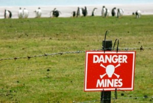penguins-landmines-6